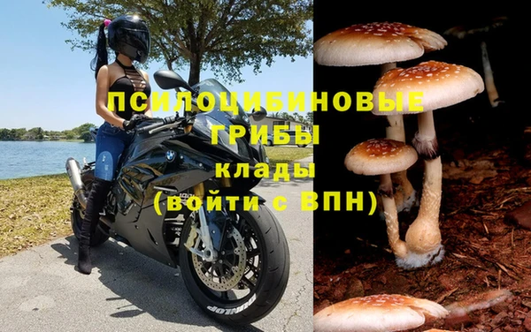 молекула духа Михайлов